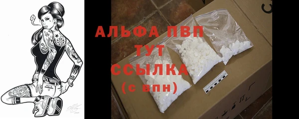 твердый Сясьстрой