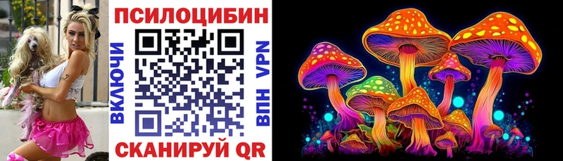 Псилоцибиновые грибы Psilocybine cubensis  Купить закладки  Среднеуральск 